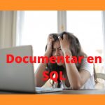 Documentar un query en sql